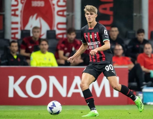 的综合实力 的综合实力